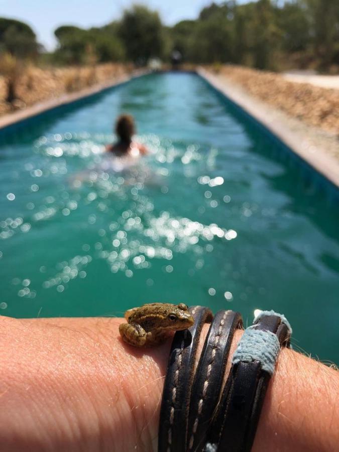 Sublim' Ecolodge Abela Εξωτερικό φωτογραφία